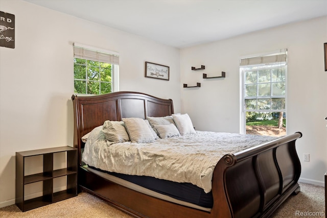 43687 Christopher Ct, Canton, MI 48188 - bedroom featuring multiple windows, baseboards, and carpet floors