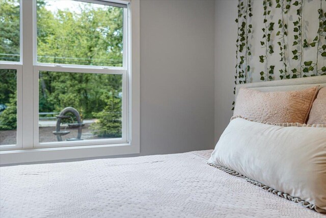 4067 Hillside Trl, New Buffalo, MI 49117 - bedroom with multiple windows
