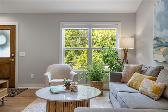 4067 Hillside Trl, New Buffalo, MI 49117 - living area with light wood-style floors and baseboards