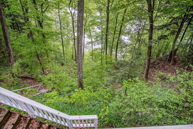 4468 Teal Ln, Newaygo, MI 49337 - view of yard with a forest view