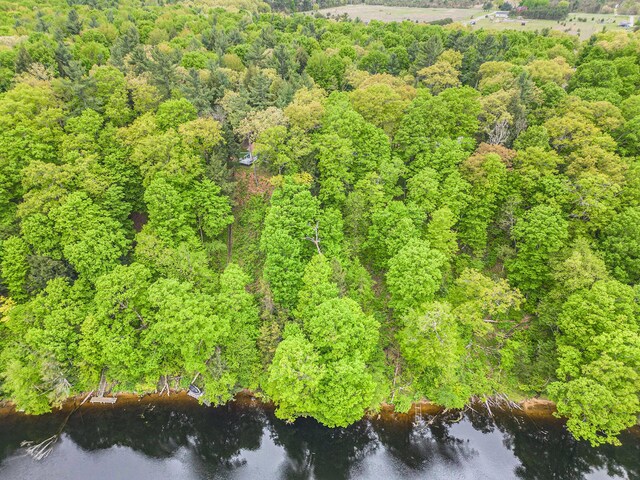 4468 Teal Ln, Newaygo, MI 49337 - bird's eye view of a nearby body of water and a heavily wooded area