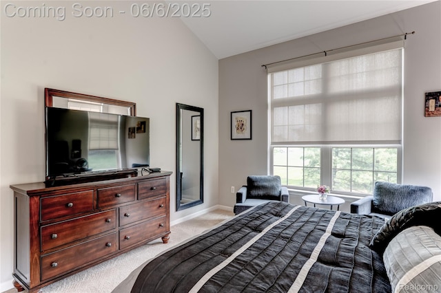 2327 Cherry Tree Ln, Grand Blanc, MI 48439 - bedroom with carpet, baseboards, and high vaulted ceiling