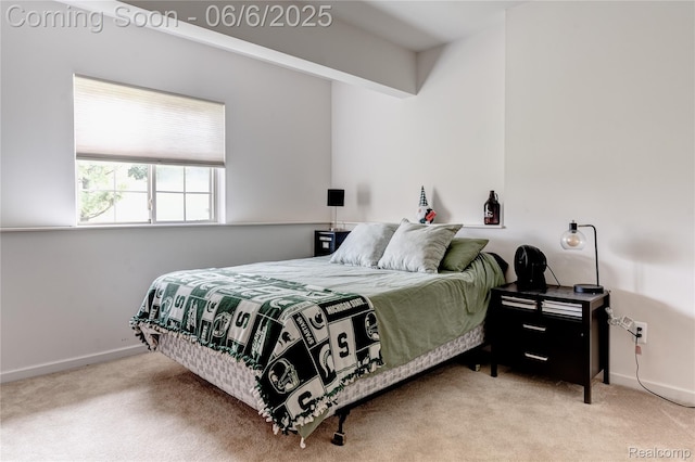 2327 Cherry Tree Ln, Grand Blanc, MI 48439 - bedroom featuring carpet and baseboards
