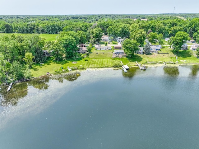 11883 Scott Park Rd, Delton, MI 49046 - aerial view of property's location featuring a large body of water and a forest