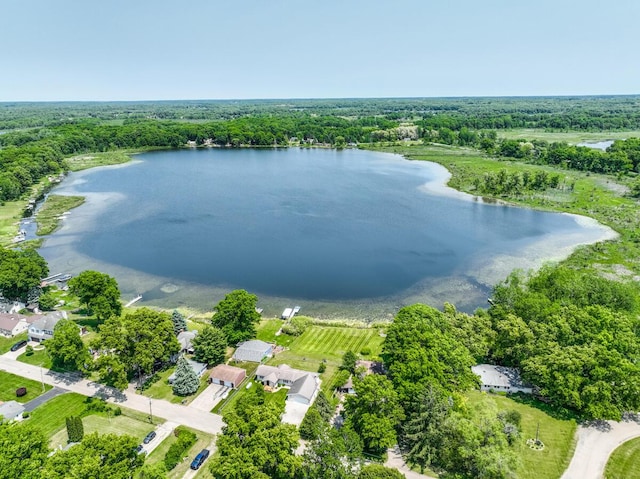 11883 Scott Park Rd, Delton, MI 49046 - bird's eye view of a nearby body of water and a heavily wooded area