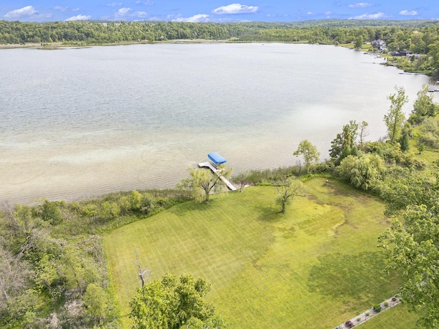 23772 Wilson Rd, Sturgis, MI 49091 - bird's eye view of a nearby body of water
