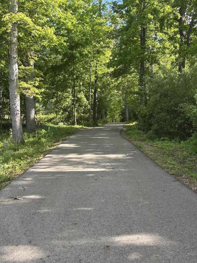 23772 Wilson Rd, Sturgis, MI 49091 - view of road with a view of trees