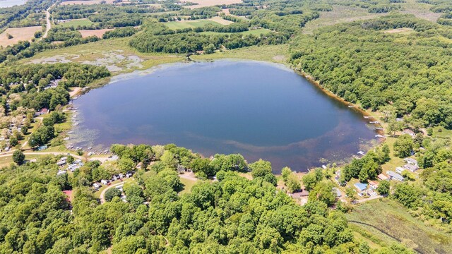 60858 Lilly Lake Dr, Jones, MI 49061 - photo 26