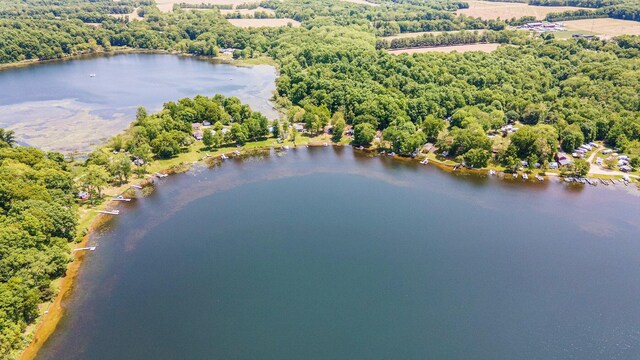 60858 Lilly Lake Dr, Jones, MI 49061 - photo 28