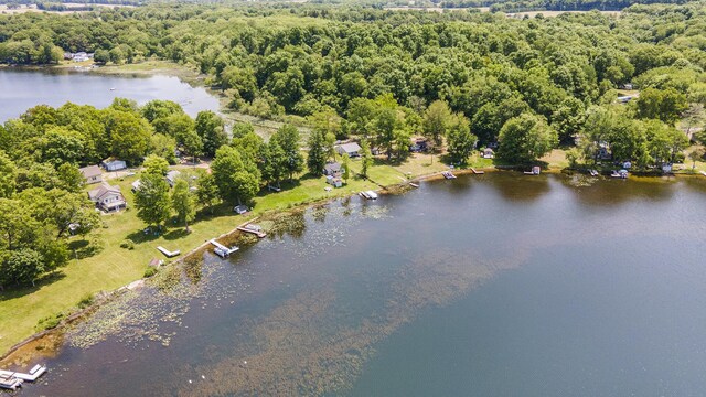 60858 Lilly Lake Dr, Jones, MI 49061 - photo 29