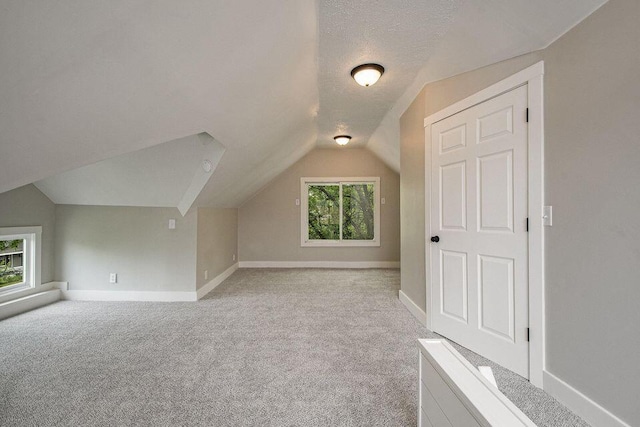 659 Fuller Ave SE, Grand Rapids, MI 49506 - bonus room featuring vaulted ceiling, light colored carpet, baseboards, and a textured ceiling