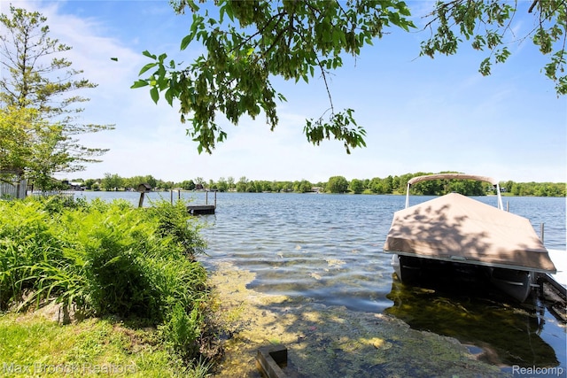 6593 Sherman Dr, Otter Lake, MI 48464 - dock area with a water view