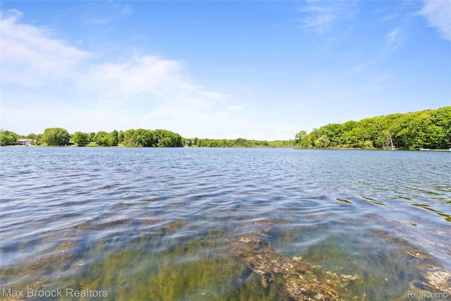 6593 Sherman Dr, Otter Lake, MI 48464 - water view