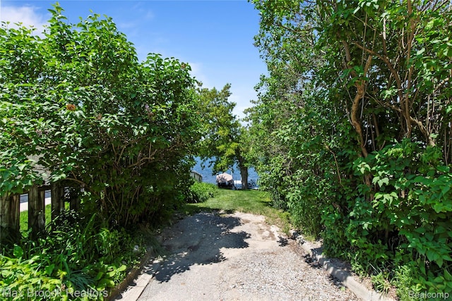 6593 Sherman Dr, Otter Lake, MI 48464 - view of yard
