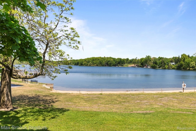 6593 Sherman Dr, Otter Lake, MI 48464 - water view