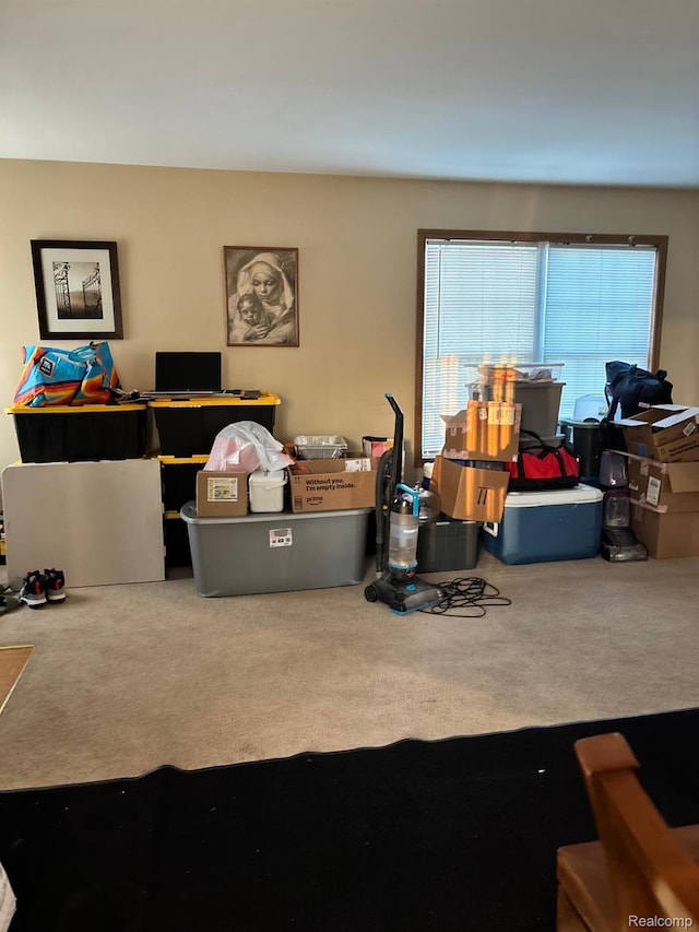 15803 Tireman St, Detroit, MI 48228 - living area featuring carpet and plenty of natural light