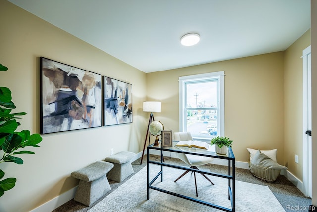215 W Fifth Ave Unit 2, Flint, MI 48502 - office space featuring carpet and baseboards