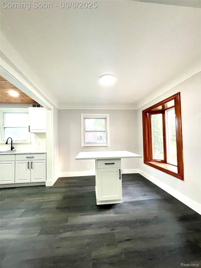 1311 12th St, Wyandotte, MI 48192 - unfurnished dining area featuring baseboards, a sink, dark wood-type flooring, healthy amount of natural light, and ornamental molding