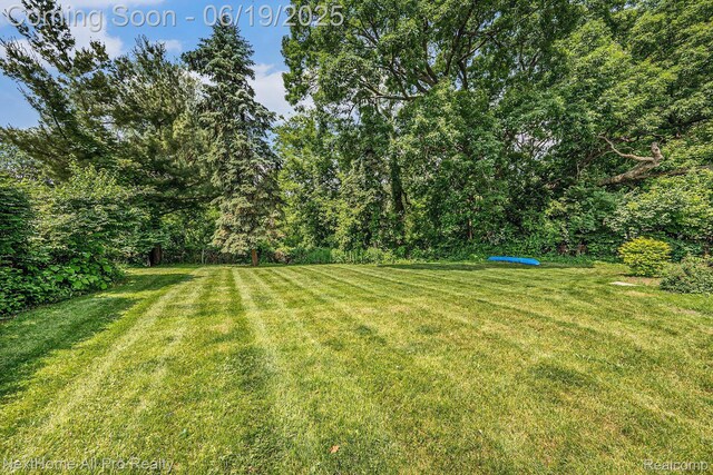 36551 Parkdale St, Livonia, MI 48150 - view of green lawn with a wooded view