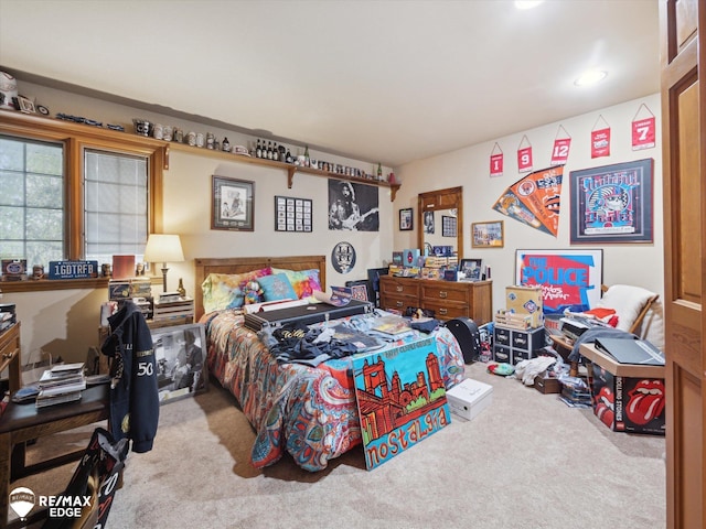 9705 Burning Tree Dr, Grand Blanc, MI 48439 - view of carpeted bedroom