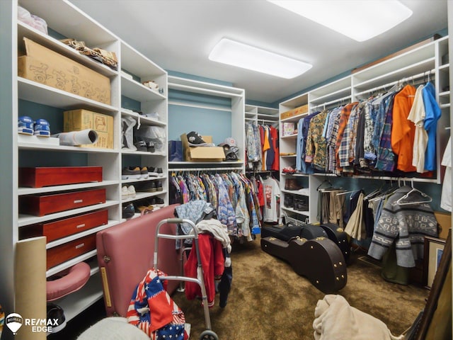 9705 Burning Tree Dr, Grand Blanc, MI 48439 - walk in closet with carpet