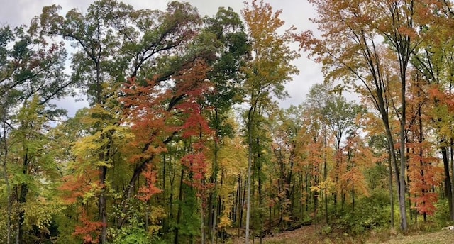 8680 Bennett St SE, Ada, MI 49301 - view of tree filled area