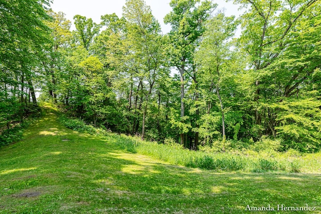 8680 Bennett St SE, Ada, MI 49301 - view of local wilderness