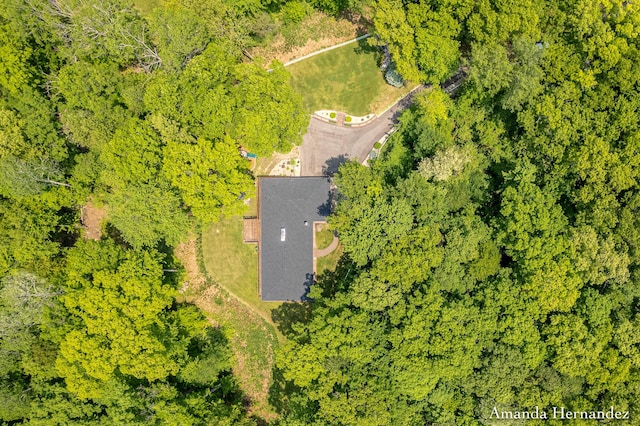 8680 Bennett St SE, Ada, MI 49301 - aerial view