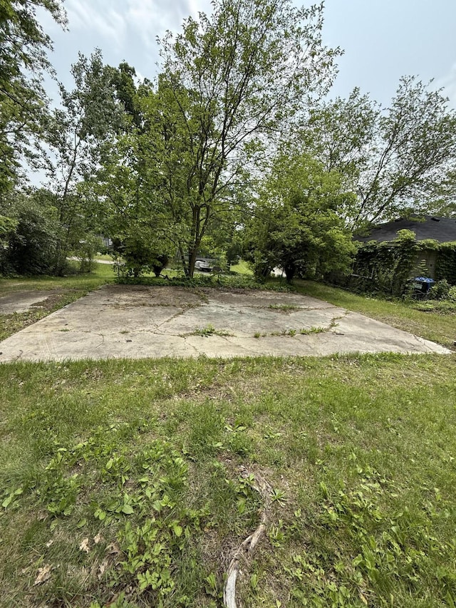 11108 Silver Lake Rd, South Lyon, MI 48178 - view of yard