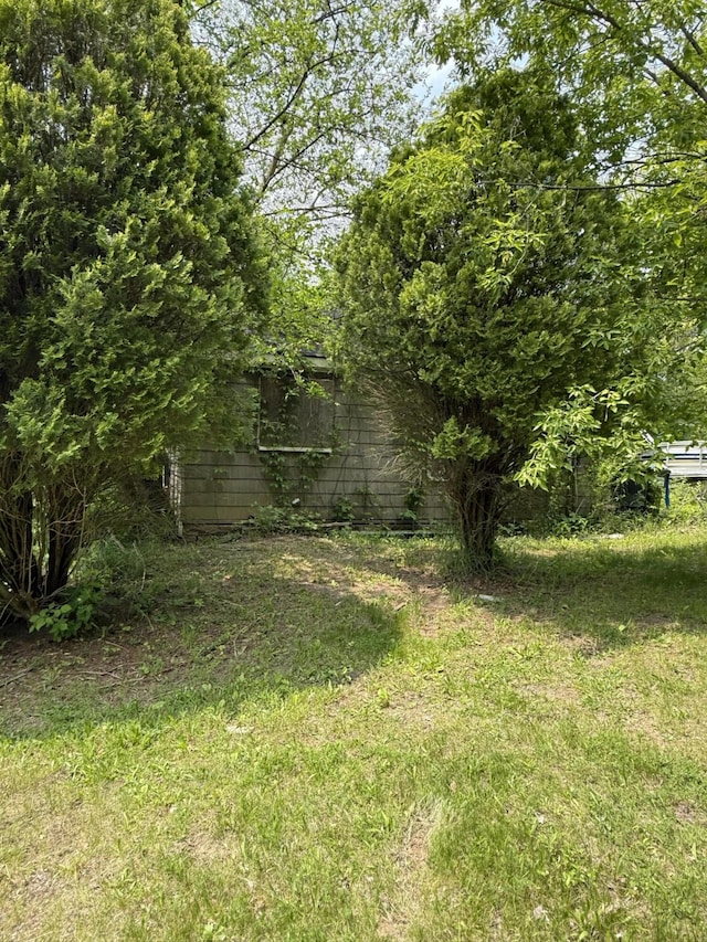 11108 Silver Lake Rd, South Lyon, MI 48178 - view of yard