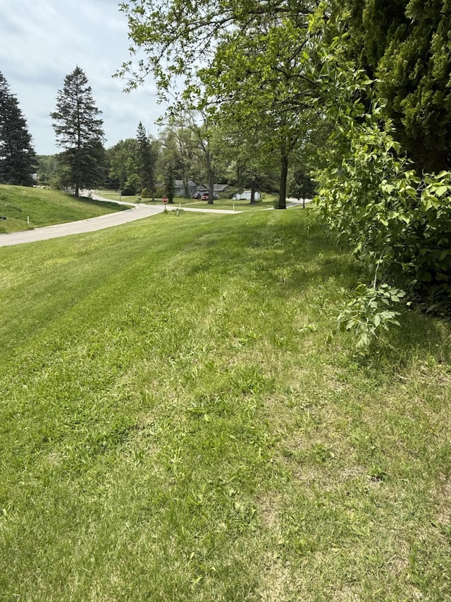 11108 Silver Lake Rd, South Lyon, MI 48178 - view of green lawn