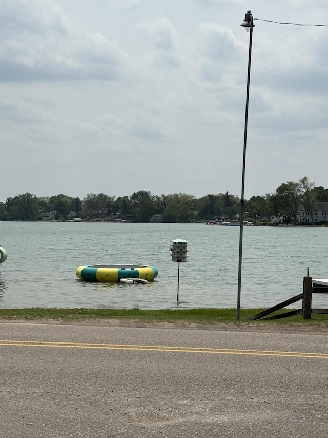 11108 Silver Lake Rd, South Lyon, MI 48178 - water view