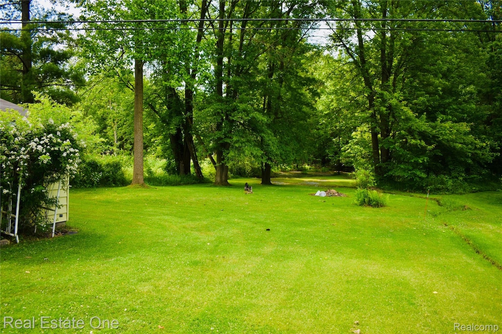 25541 King Rd, Brownstown, MI 48174 - view of green lawn