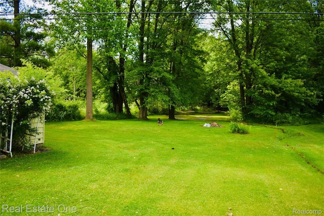 25541 King Rd, Brownstown, MI 48174 - view of green lawn