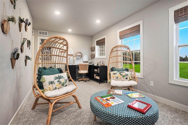 5207 Brinson Ln, Kalamazoo, MI 49009 - sitting room with healthy amount of natural light, recessed lighting, carpet flooring, and baseboards