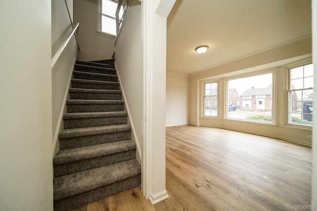 15400 Sprenger Ave, Eastpointe, MI 48021 - stairs featuring wood finished floors