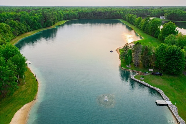 6312 S Graham Rd, Saint Charles, MI 48655 - aerial view of a nearby body of water and a heavily wooded area