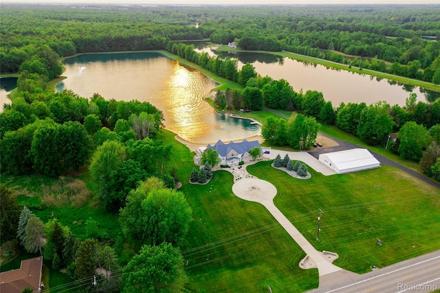 6312 S Graham Rd, Saint Charles, MI 48655 - drone / aerial view of a heavily wooded area and a nearby body of water