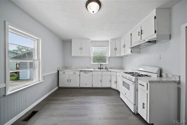 603 Company St, Adrian, MI 49221 - kitchen featuring white appliances, a sink, a wainscoted wall, under cabinet range hood, and wood finished floors