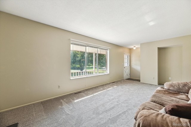 229 Hillview Ter, Fenton, MI 48430 - living room with healthy amount of natural light, carpet, and a textured ceiling