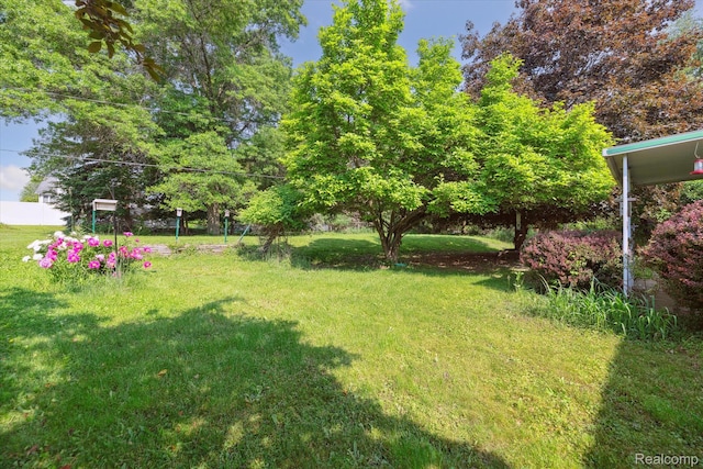 229 Hillview Ter, Fenton, MI 48430 - view of grassy yard
