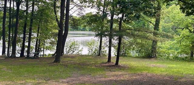 1749 Fairview Dr, Allegan, MI 49010 - water view with a heavily wooded area