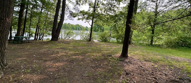 1749 Fairview Dr, Allegan, MI 49010 - view of yard with a water view and a view of trees