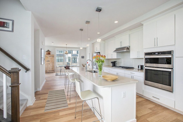 2990 Stoke Way, Ann Arbor, MI 48105 - kitchen with under cabinet range hood, appliances with stainless steel finishes, a sink, light wood-type flooring, and light countertops