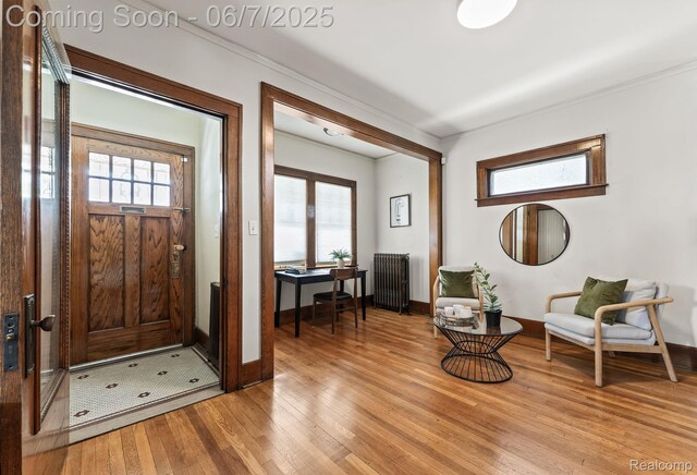 5302 Burns St, Detroit, MI 48213 - foyer entrance with radiator heating unit, light wood finished floors, crown molding, and baseboards