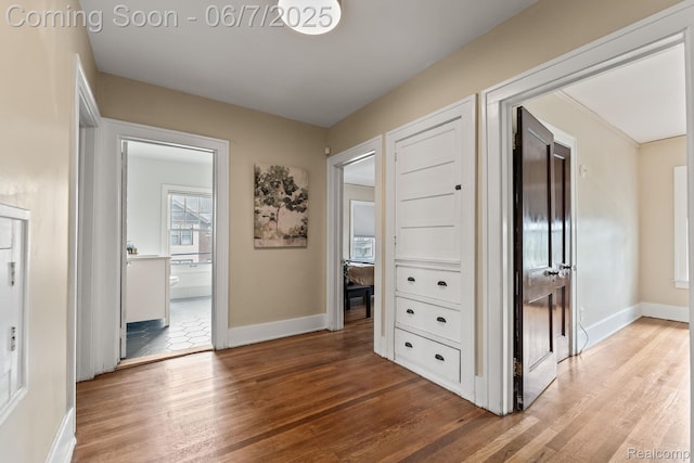 5302 Burns St, Detroit, MI 48213 - corridor with wood finished floors and baseboards