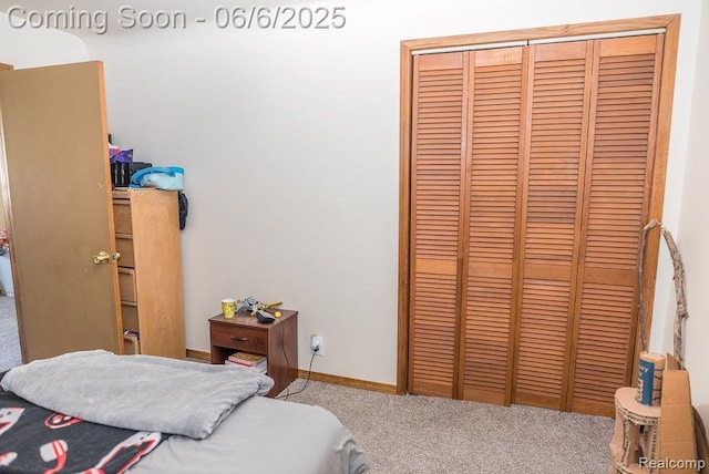 923 Stone St, Port Huron, MI 48060 - bedroom with carpet, a closet, and baseboards