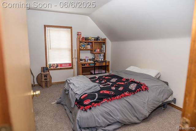 923 Stone St, Port Huron, MI 48060 - bedroom featuring carpet flooring and lofted ceiling