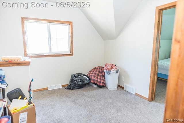 923 Stone St, Port Huron, MI 48060 - misc room featuring carpet floors, lofted ceiling, and baseboards