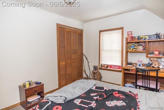 923 Stone St, Port Huron, MI 48060 - bedroom with a closet and vaulted ceiling